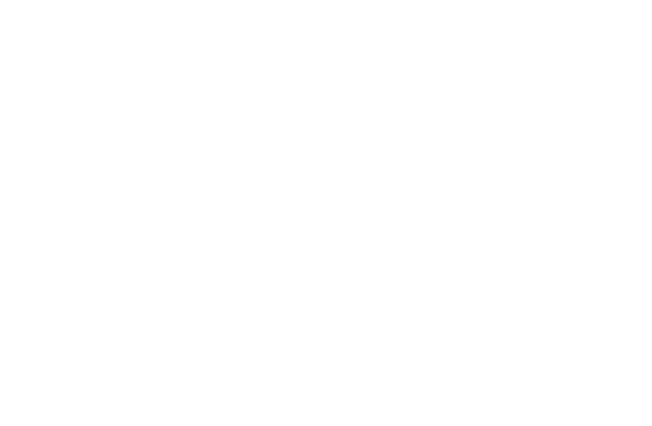 MolenMedia
